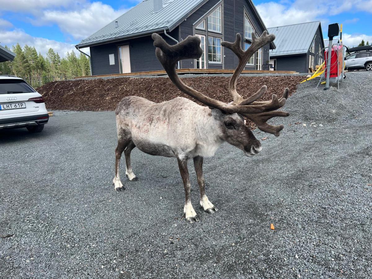 New Cabin In Fabulous Idre Activity Area エクステリア 写真